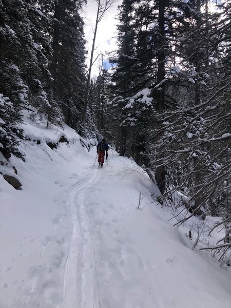 Skinning up Middle Fork Lake Trail