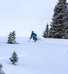 A little fresh, a lot of happy