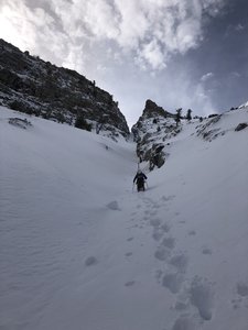 Barrel of the gun, 4/6/2019. Shin to knee deep