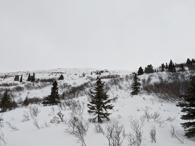 The view upslope from near the end of Satan's Abbey.