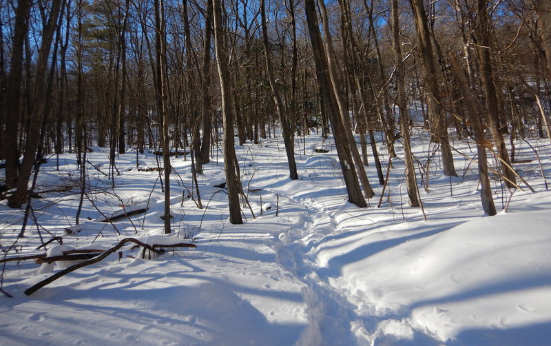 Beginning of ascent trail