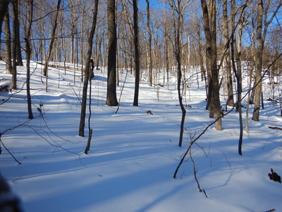 Sample of the terrain