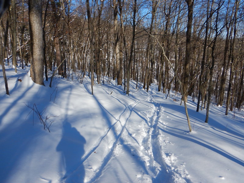 Skiing along the trail is also an option.