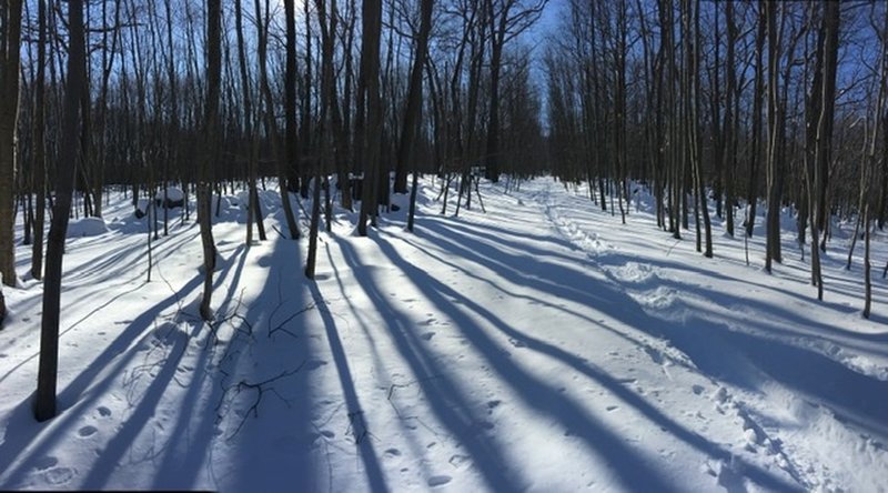 The skin trail up ol' Snow Bowl's rope tow is your fastest route to top.