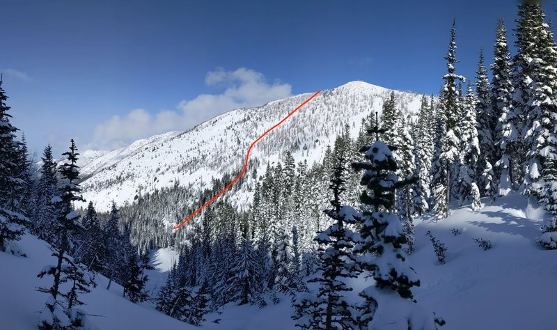 Overview of one uptrack option on the SW face of Platinum Peak.