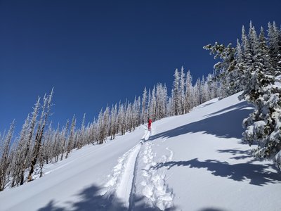 Linking lowest angle slopes on the SW face of Platinum Peak.