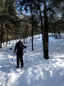 Hiking up Mt Watatic south side.