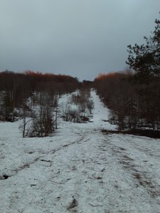 The main trail at Old Snow Valley.