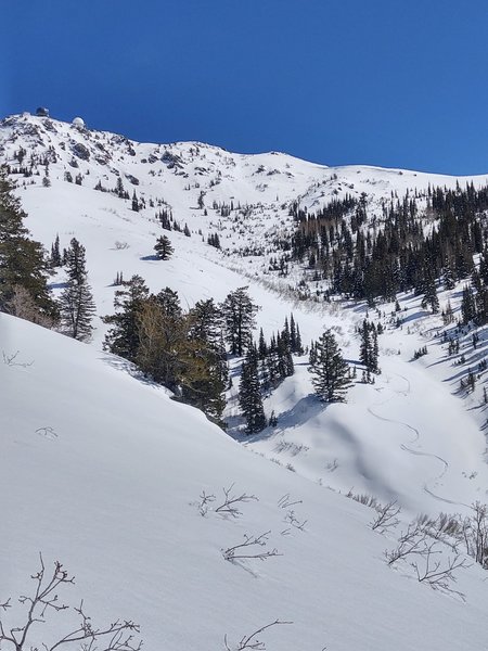 My ski tracks are just barely visible here, and not at all near the sky-line, but you can imagine where the ski line would be coming off the south shoulder of Francis Peak.