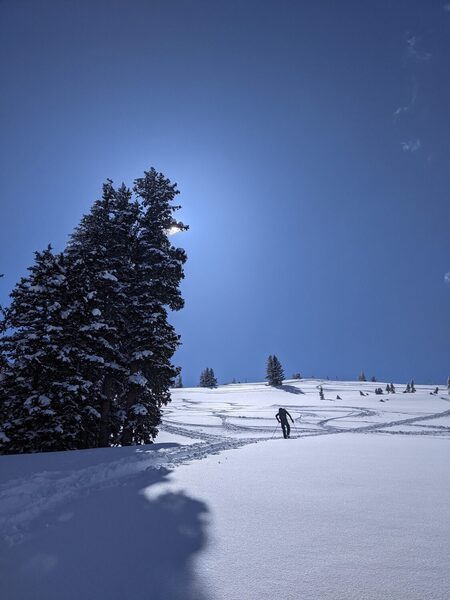 Skinning up Wolverine Bowl.