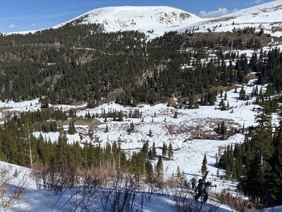 This is the jist of West Sheridan's NW Gully. Steep slopes and inconvenient bushes.