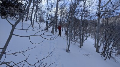 Skinning up the North ridge of Maple Mountain, just after getting off the ski resort road. The ridge slope becomes more manageable as you put distance between you and that road.