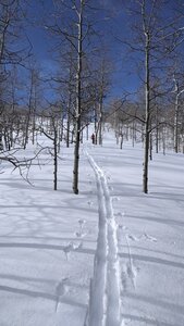 Skinning up the ridge just over halfway up. The ridge was pleasant travel, with just the right slope.