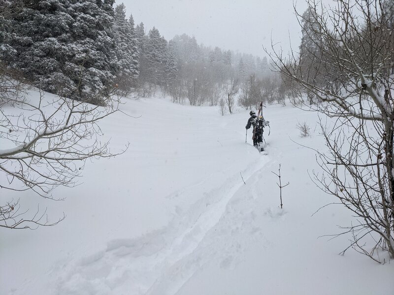 Breaking trail on Y Mountain Meadow, some 300 feet below the saddle. Low angle, and great snow!