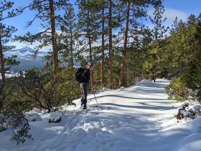 Typical trail terrain--Mt. Washington in background