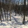 See the snow shoe trail then take a right just after the first little pitch.