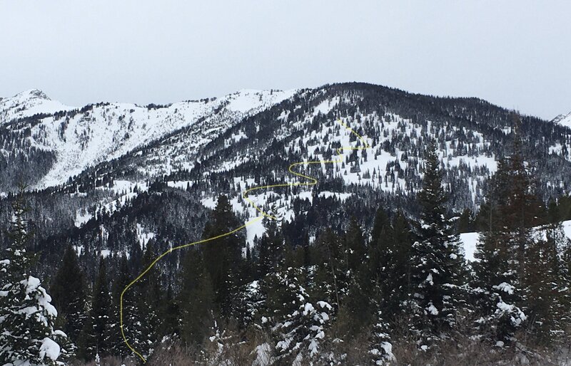 25 Short, skin track is left around the first hump and up Beaver Creek. SE from Taggart winter parking.