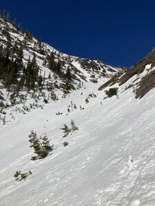 Some fun wide open fields of January corn
