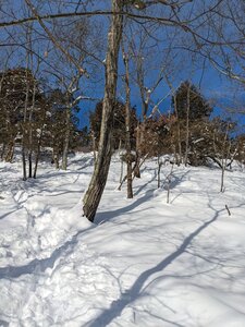 Skied it Jan 31st 2022, okay coverage, definitely hit some hidden rocks and roots but very fun still.