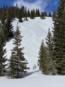 Lines looking up at Mt Trelease.