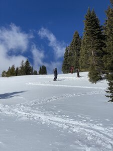 Skin Track heading up to top of the Boulevard