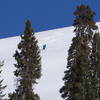 CU Backcountry Club skiing the upper portion of 100 Turns of Fun.