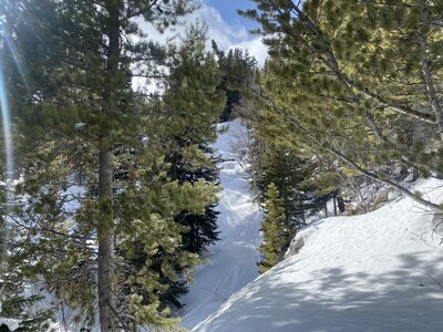 Rock drops, steeps, and trees? Not quite as type-one-fun as it seems...