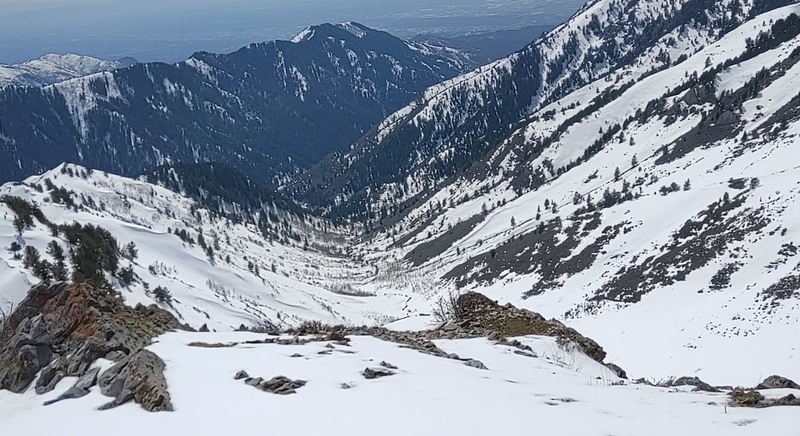 A view down Cottonwood Gulch from Grandview Peak.