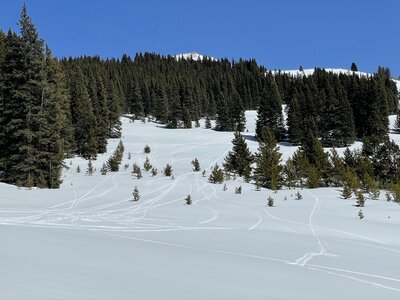 Midway down, looking east.