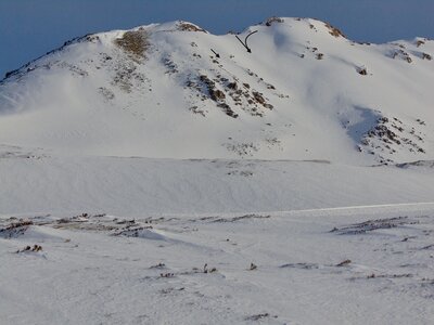 Zoomed in photo of Hagar from just above treeline in Dry Gulch, the main descent is arrowed, along with a thin diagonal alternative to the left