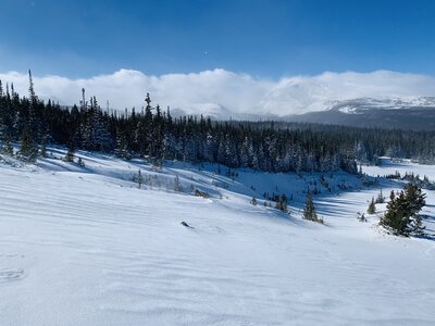The glade that connects Left Hand Reservoir Road to the Niwot Mountain Trail.