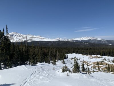 Lower Niwot Mountain glade in March.