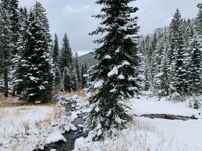 Rock Creek crossing on 10.28.22