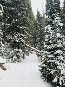 Trail conditions on 11.5.22