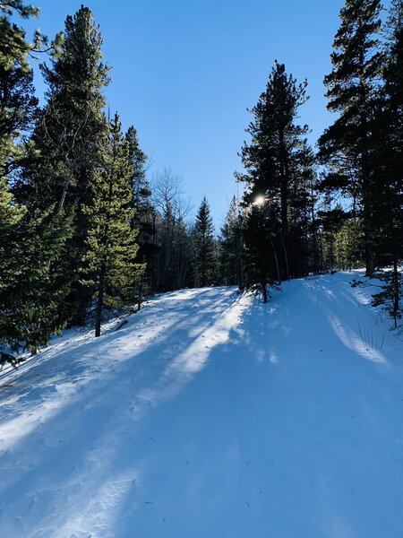 FS1161, leading to the St Vrain Mtn TH in a high snowfall november