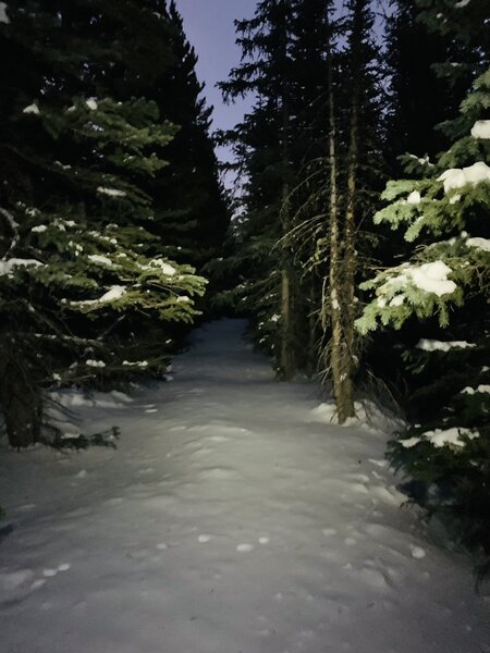 The highest part of the Rock Creek Rd at dusk