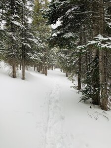 The trail in early December on a good snow year.