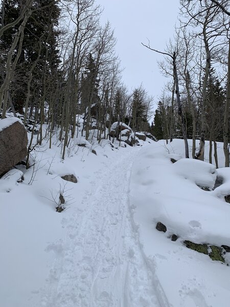 The trail in early December on a good snow year.