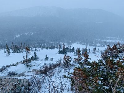 Midway up, trees left, face right.