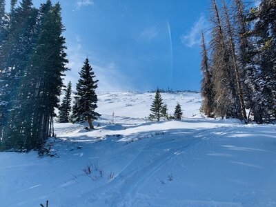 The top of the left line.