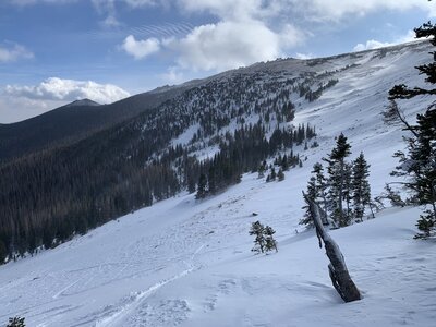 Leftmost of center, looking up.