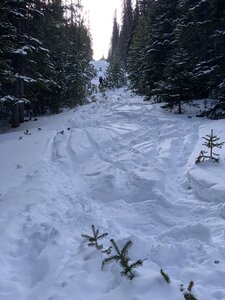 Looking up, halfway down.