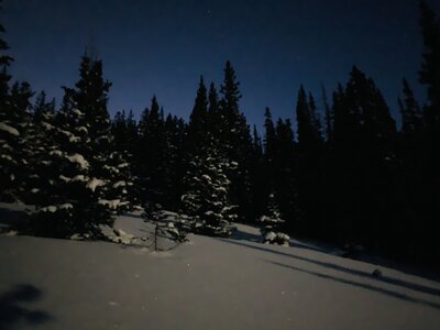 moonlit lap of the St Vrain Trees