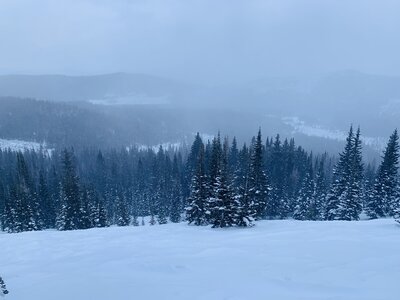 Looking down the lower snowfield of the caribou trees - still skiers right of the skintrack - here you want to be sure NOT to drop skiers right, but trend left back to the cabin
