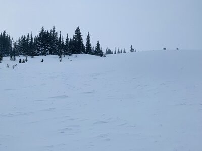 Looking up at the first major switchback of the caribou skintrack. This is the steepest portion of the skintrack & can have suspect wind drifts at times..