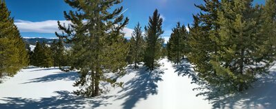 Beautiful view from the trail.