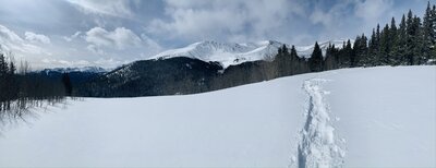 Skintrack below treeline ... this is one of the flat portions of the downhill, though on the way up this clearing gives you the first peek at the rest of the day ahead of you.