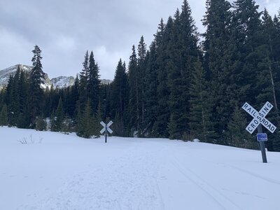 The railroad crossing - one of the stranger things you'll find on a skintrack.