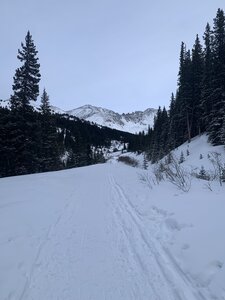 Mayflower Forest Road in February.