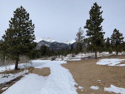 The beginning of the skin on FS252 - long ways to go.